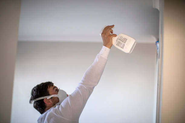 Best Mold Damage Repair  in South Carthage, TN